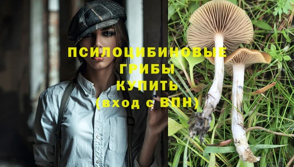 меф Абдулино