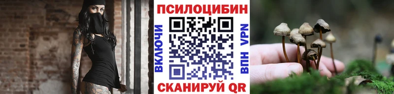 Псилоцибиновые грибы Cubensis  Нестеровская 